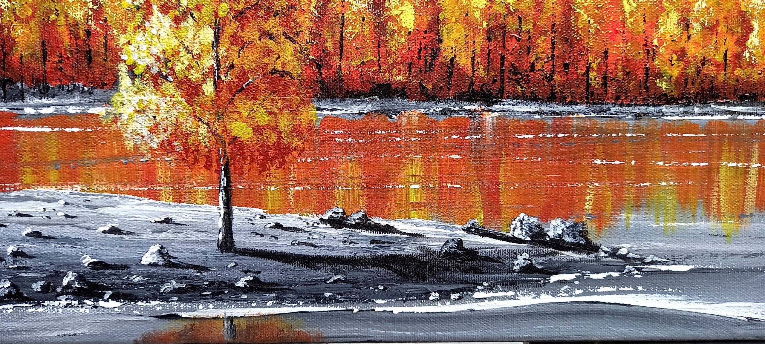 petite plage avec un érable et des petits rochers