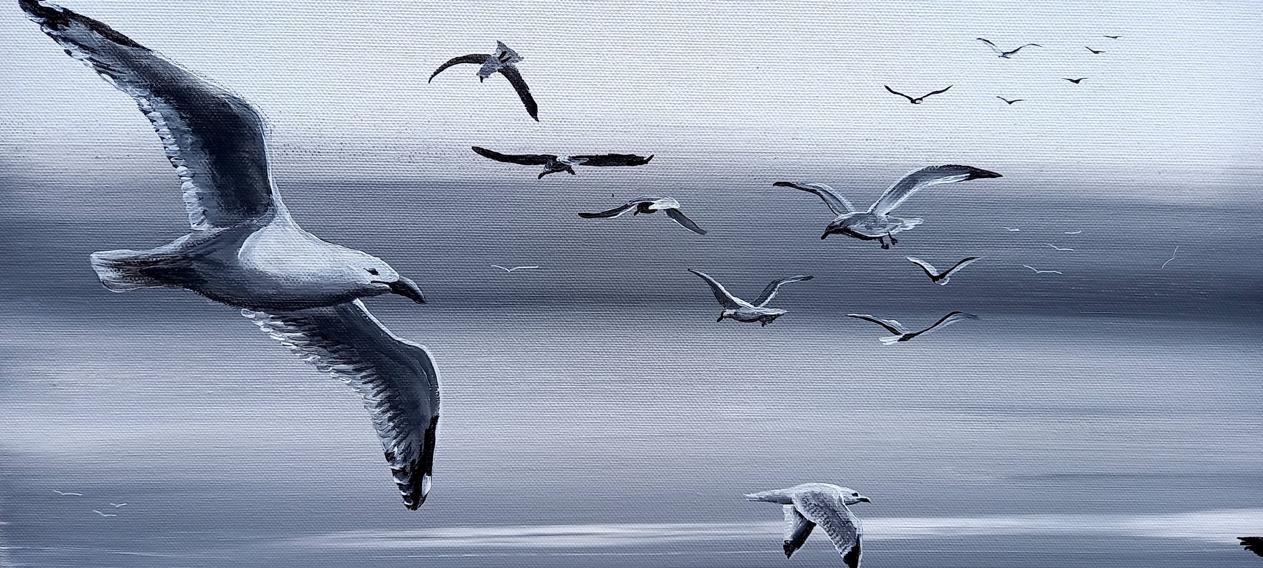 mouettes en volent sur un fond de ciel gris