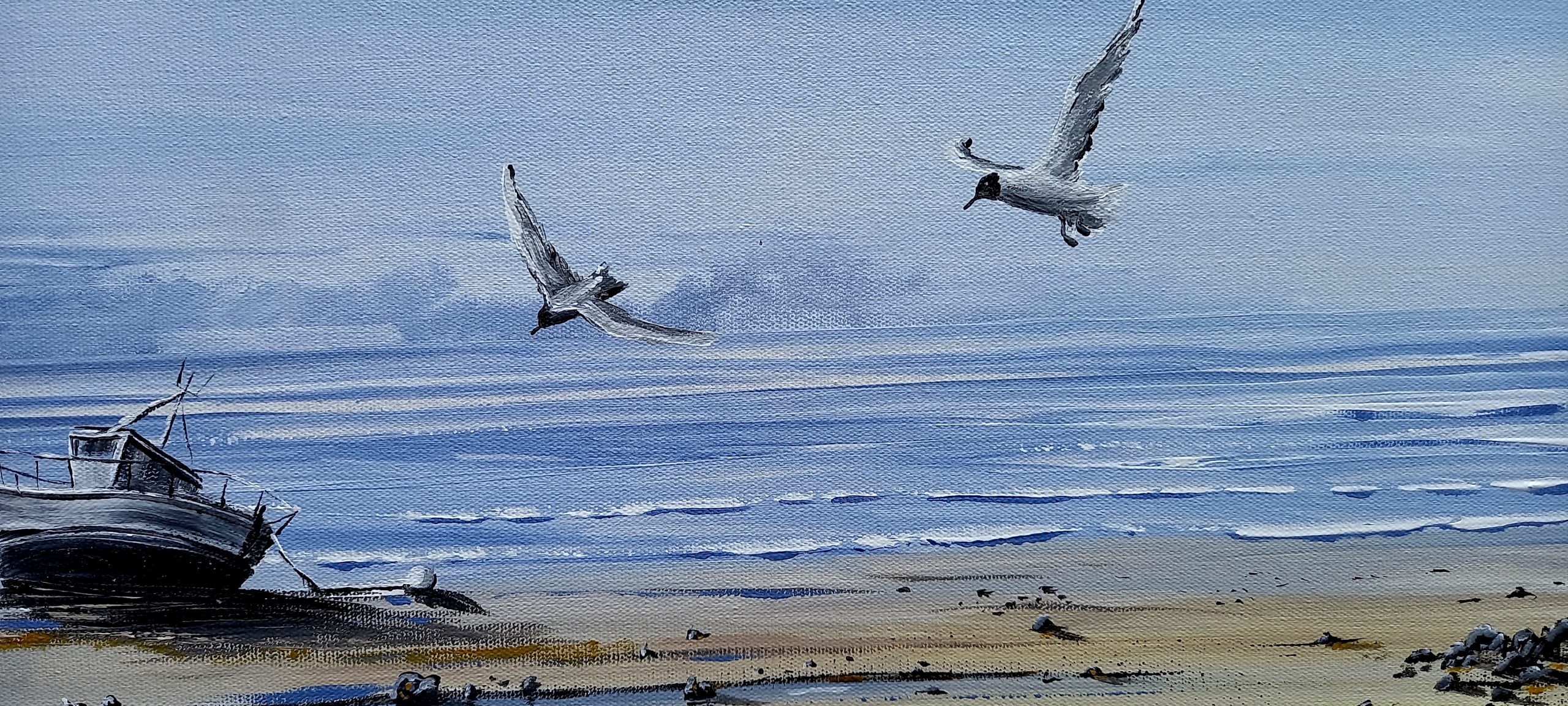 mouette a tête noir survolant la plage