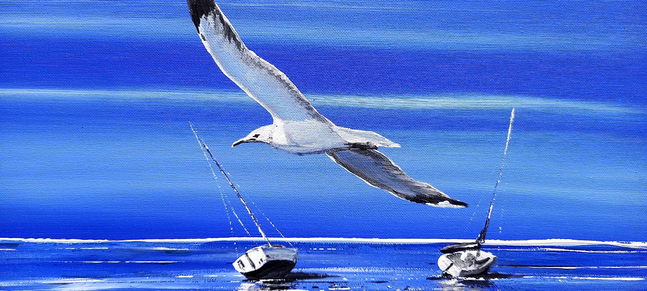 le vol majestueux d'une mouette au dessus des voiliers