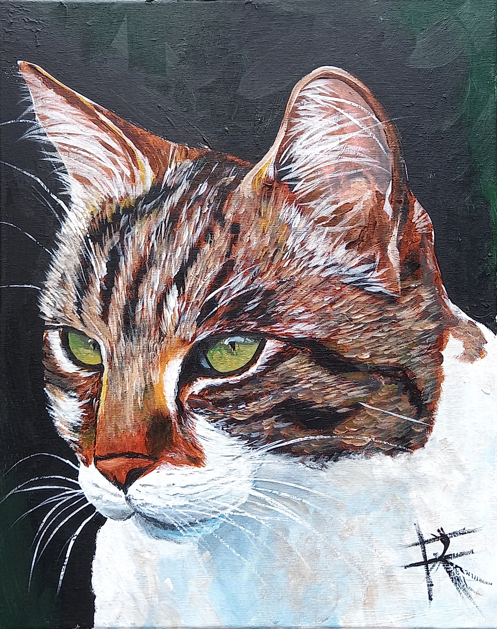 Portrait d’un chat tricolore marron, noir et blanc avec yeux verts regardant vers la gauche