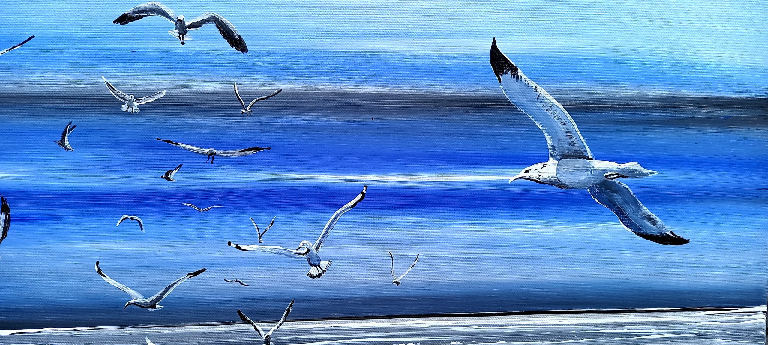 mouettes en pleins vol sur un fond de ciel bleu