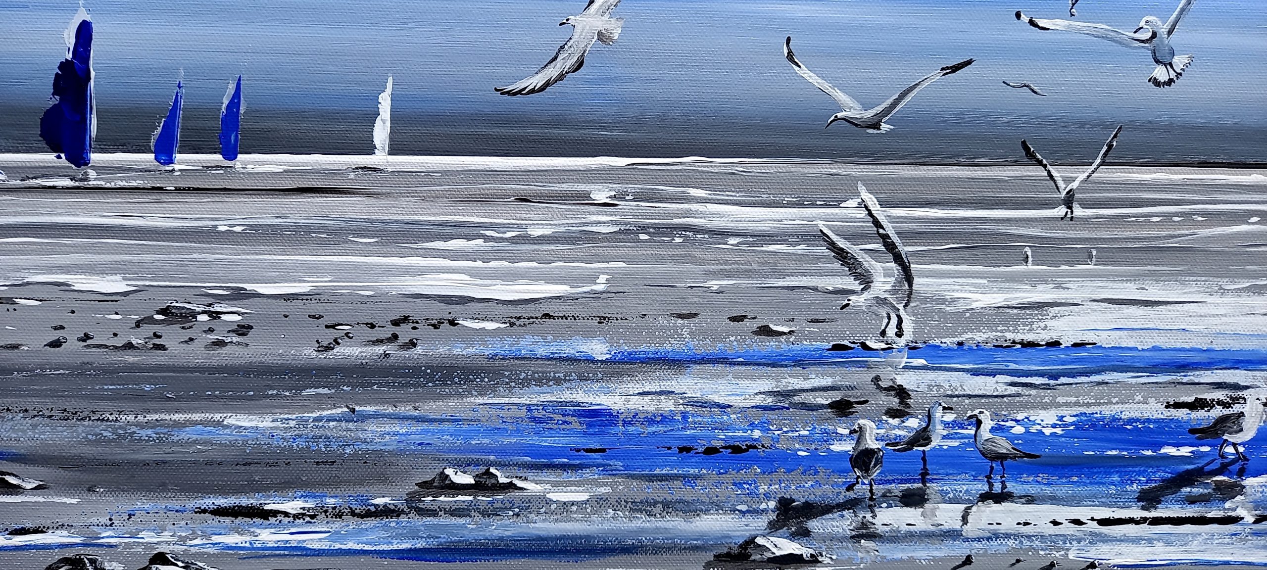 les mouette se baignant dans les flaques d'eau de mer 